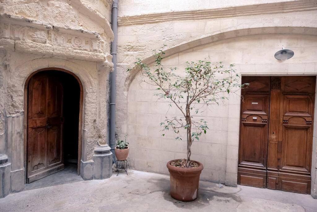 Noa - Mont Piete Studio Intramuros - Avignon Exteriör bild
